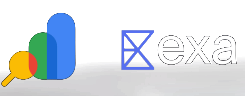 Google Search Console ed Exa